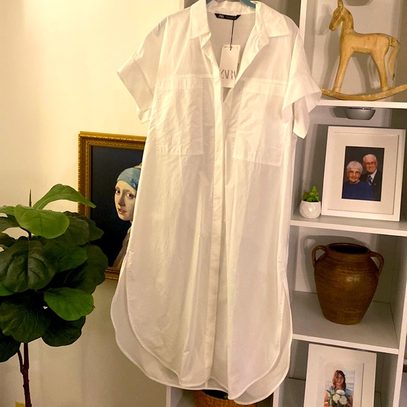 NWT Zara Oversized Shirt - Super Long! - Picture 1 of 9
